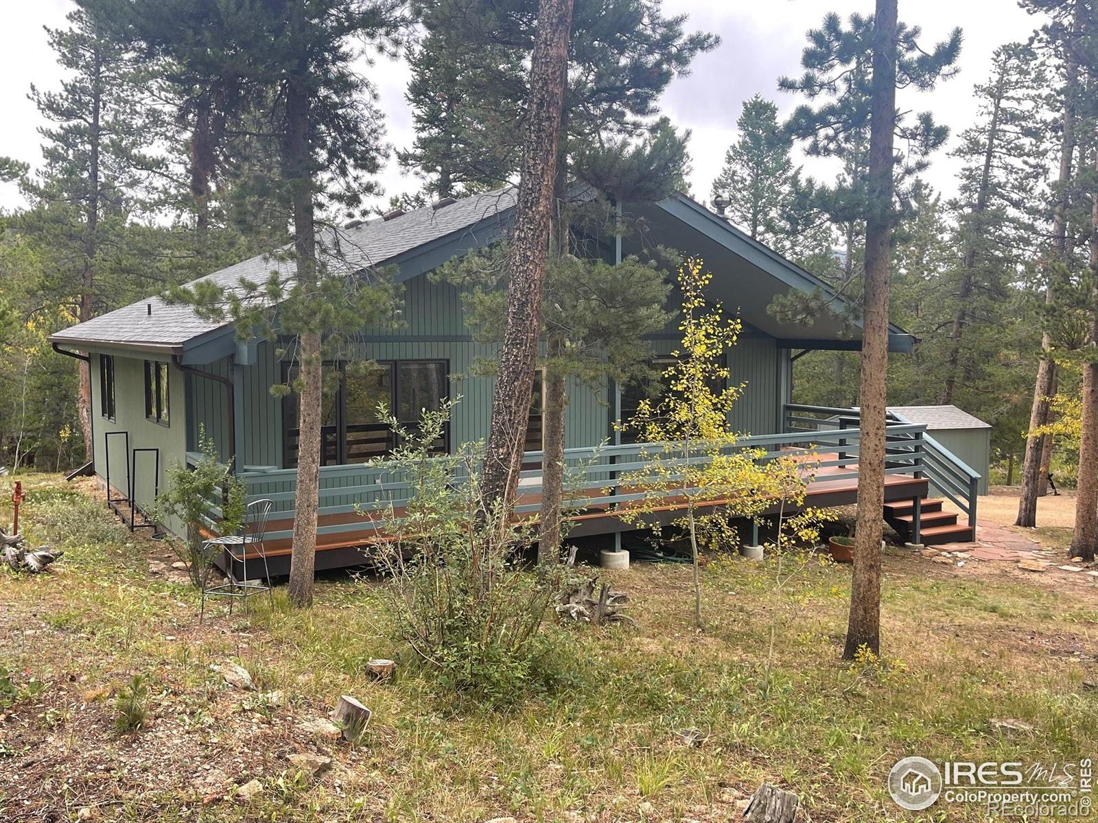 33 N Skinner Road, allenspark  House Search MLS Picture