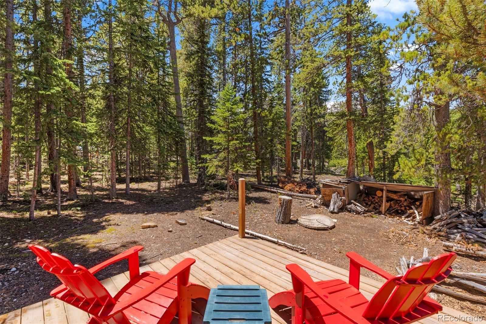 91  Slalom Drive, breckenridge  House Search MLS Picture