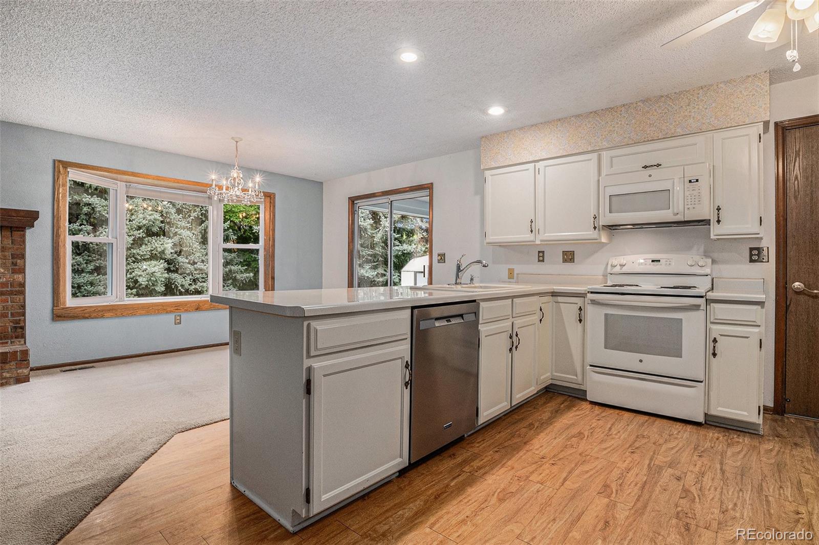 523 E Long Court, littleton  House Search MLS Picture