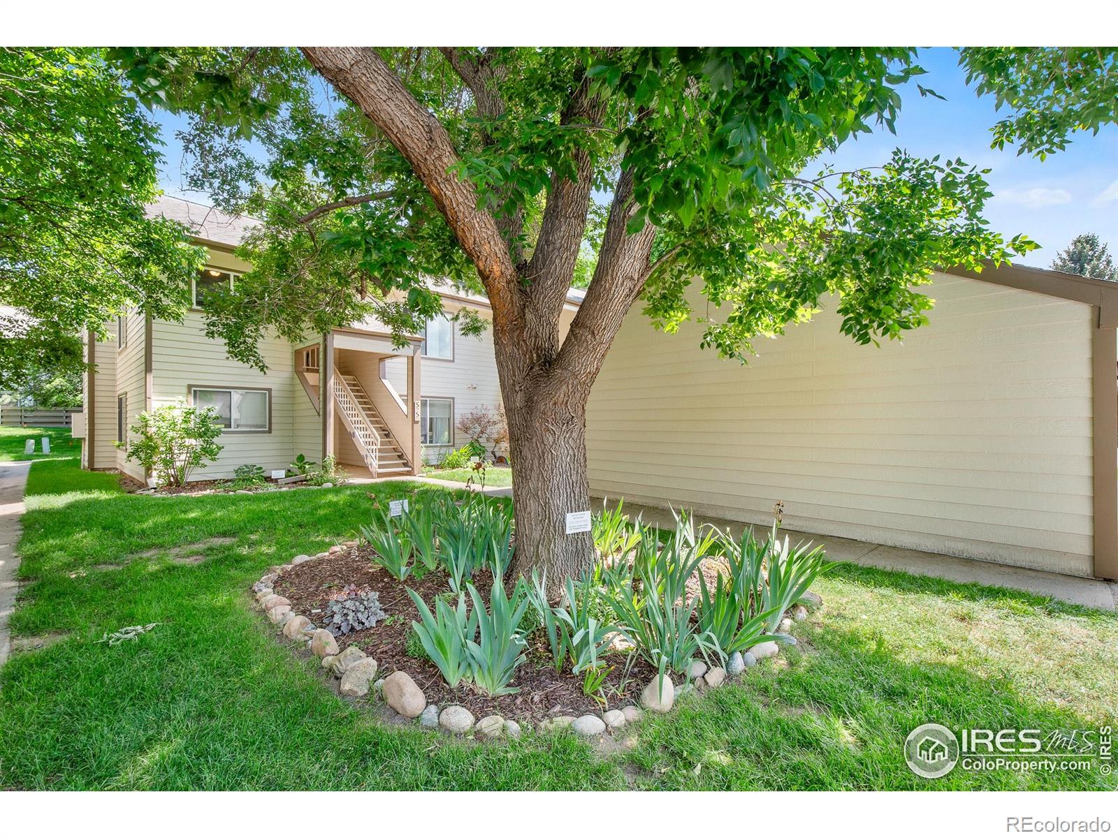 3465  Lochwood Drive, fort collins  House Search MLS Picture