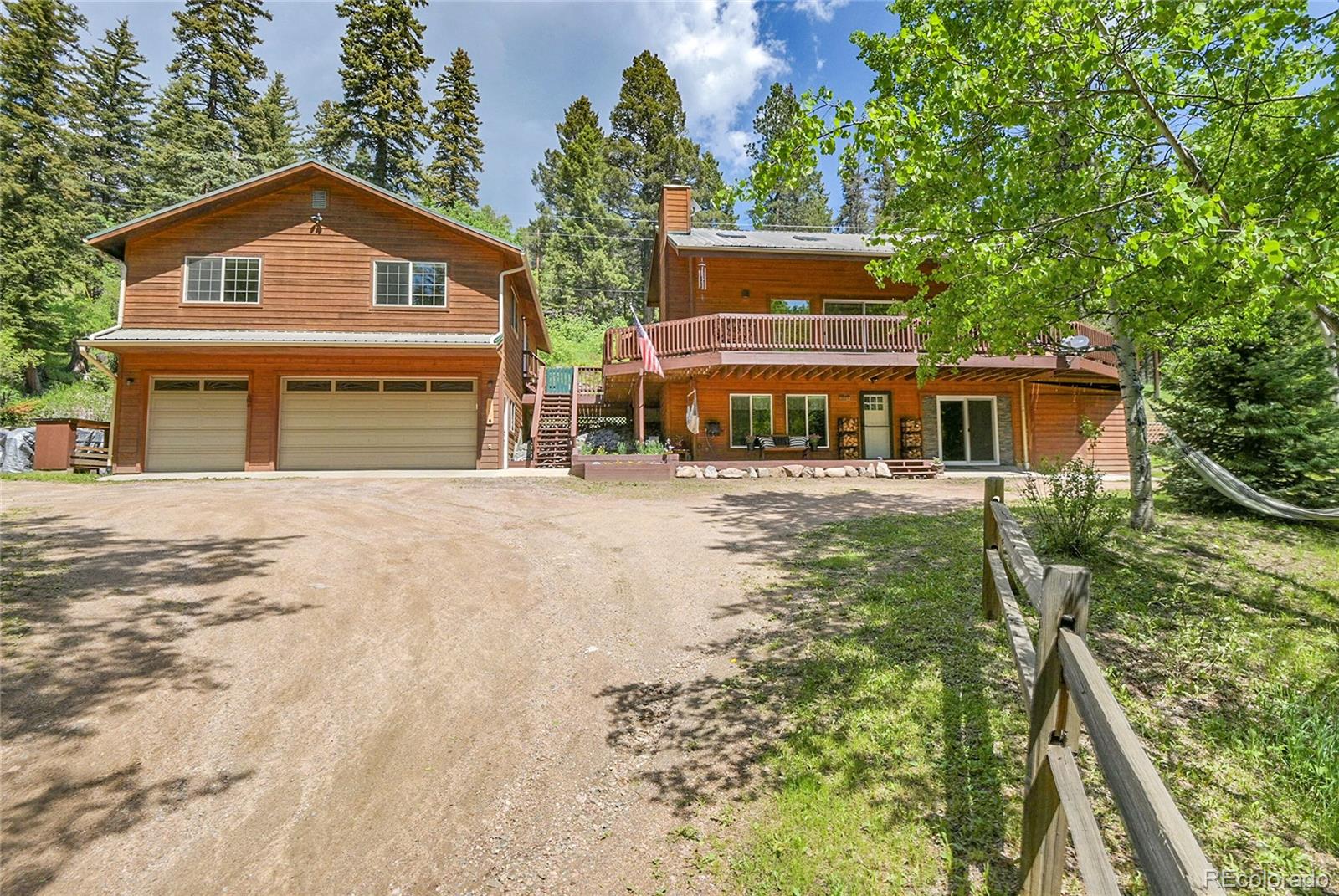 conifer  House Search Picture
