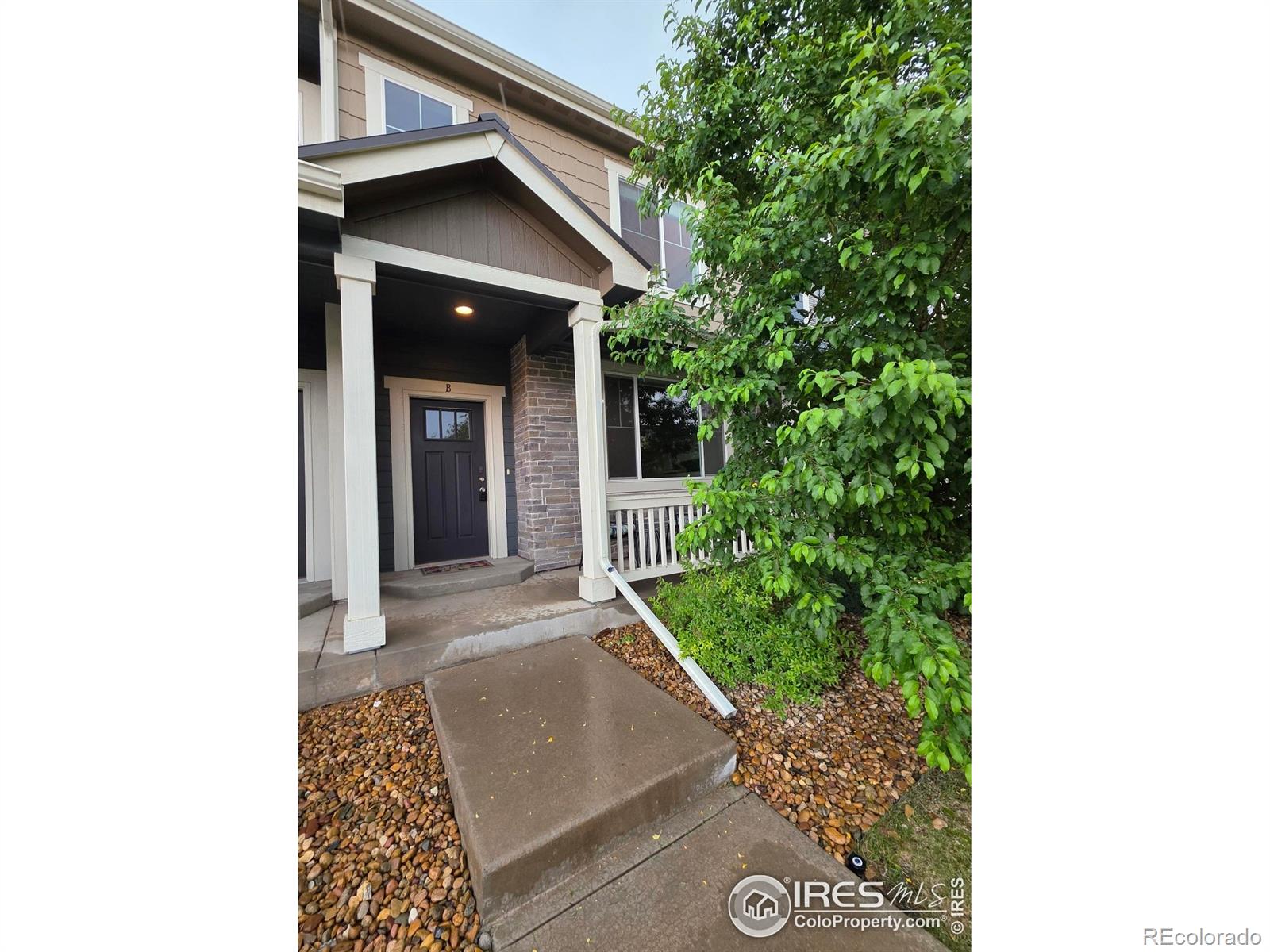 3514  Big Ben Drive, fort collins  House Search MLS Picture