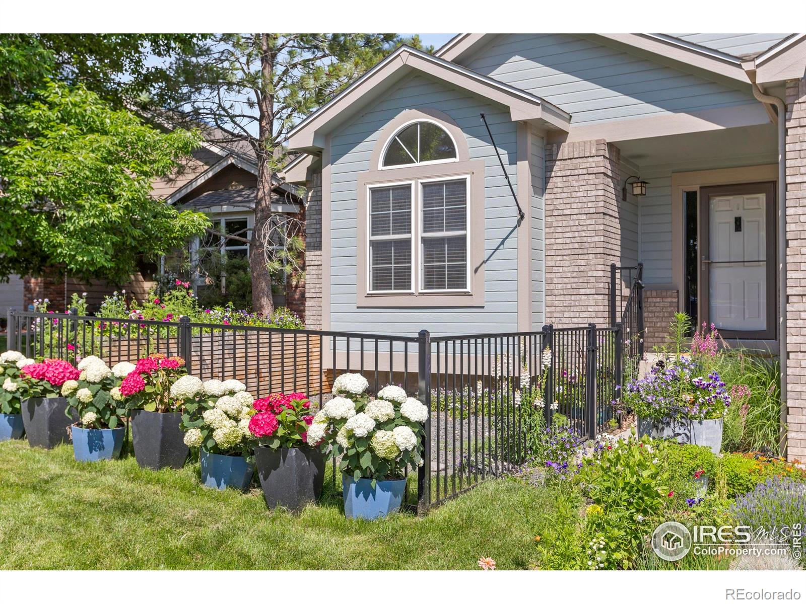 571  Promontory Drive, loveland  House Search MLS Picture