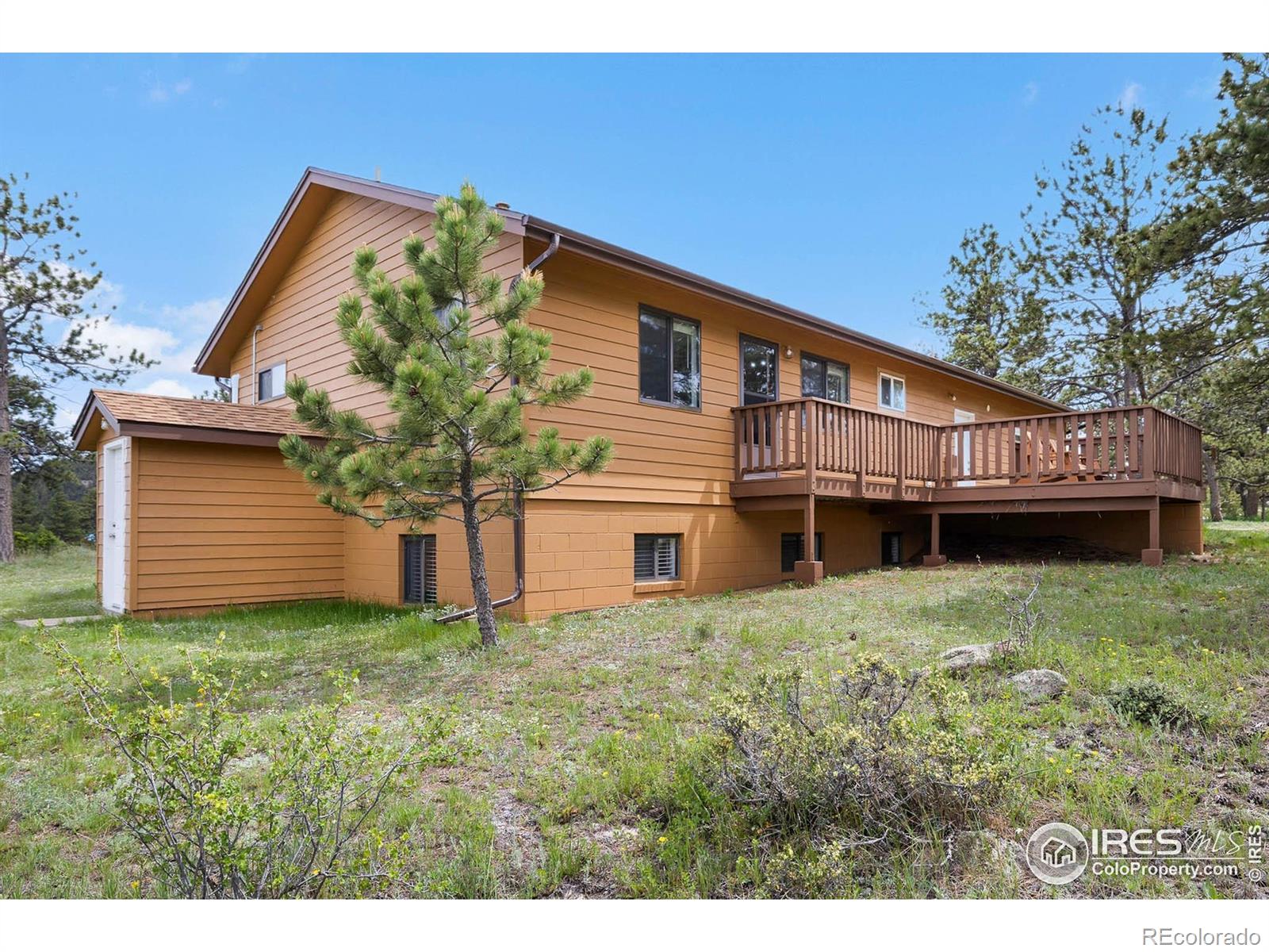 1278  Cucharas Mountain Drive, livermore  House Search MLS Picture