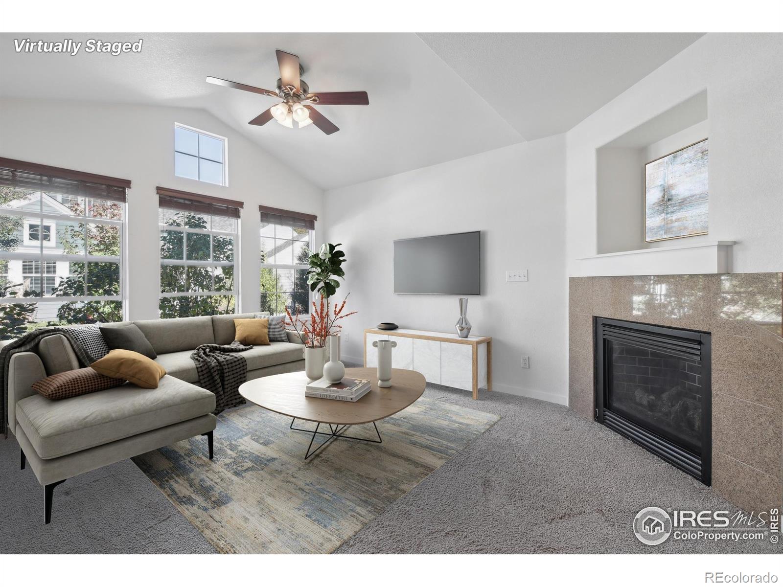 729  Snowberry Street, longmont  House Search MLS Picture