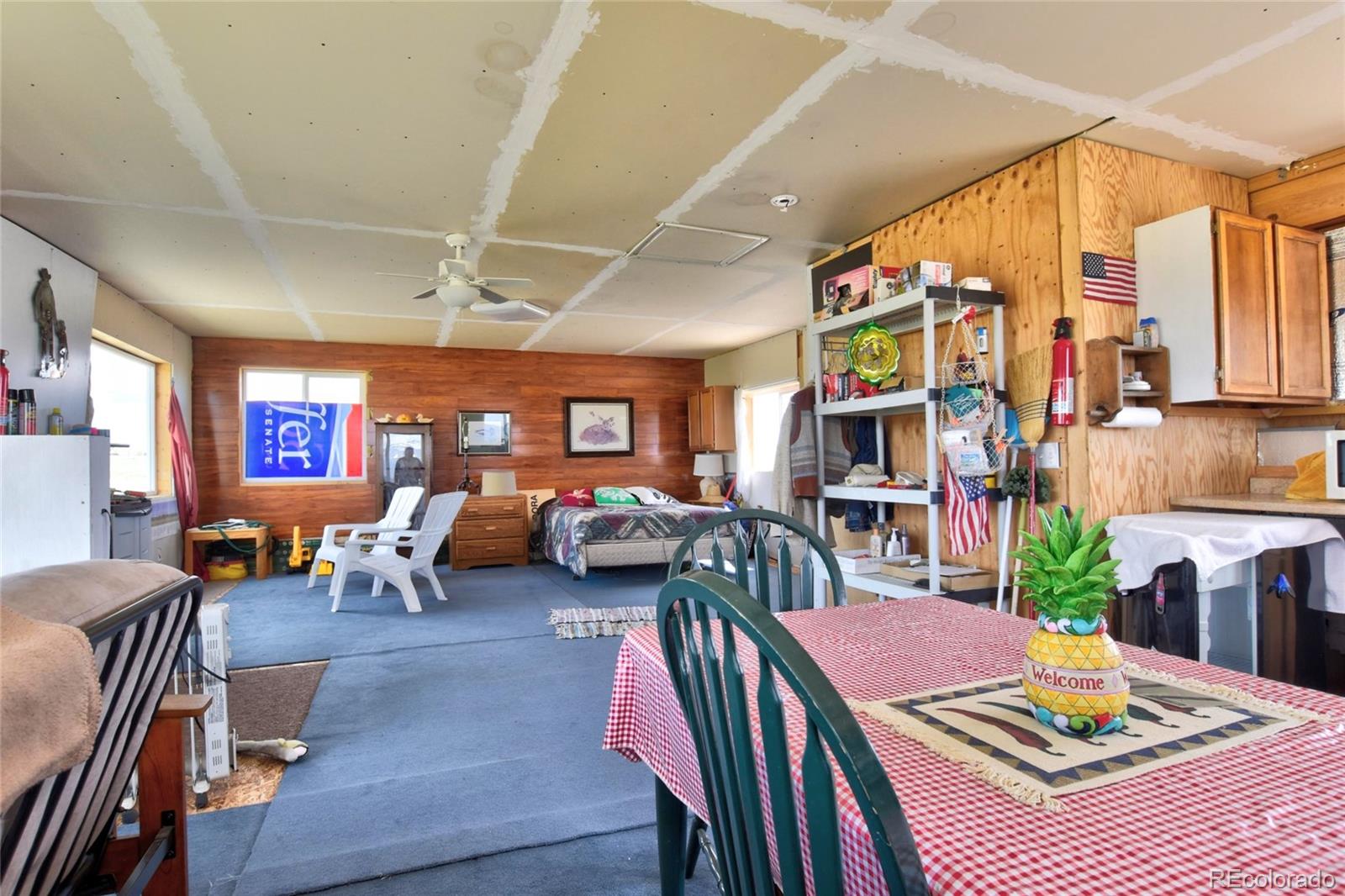 1091  Kokanee Road, fairplay  House Search MLS Picture