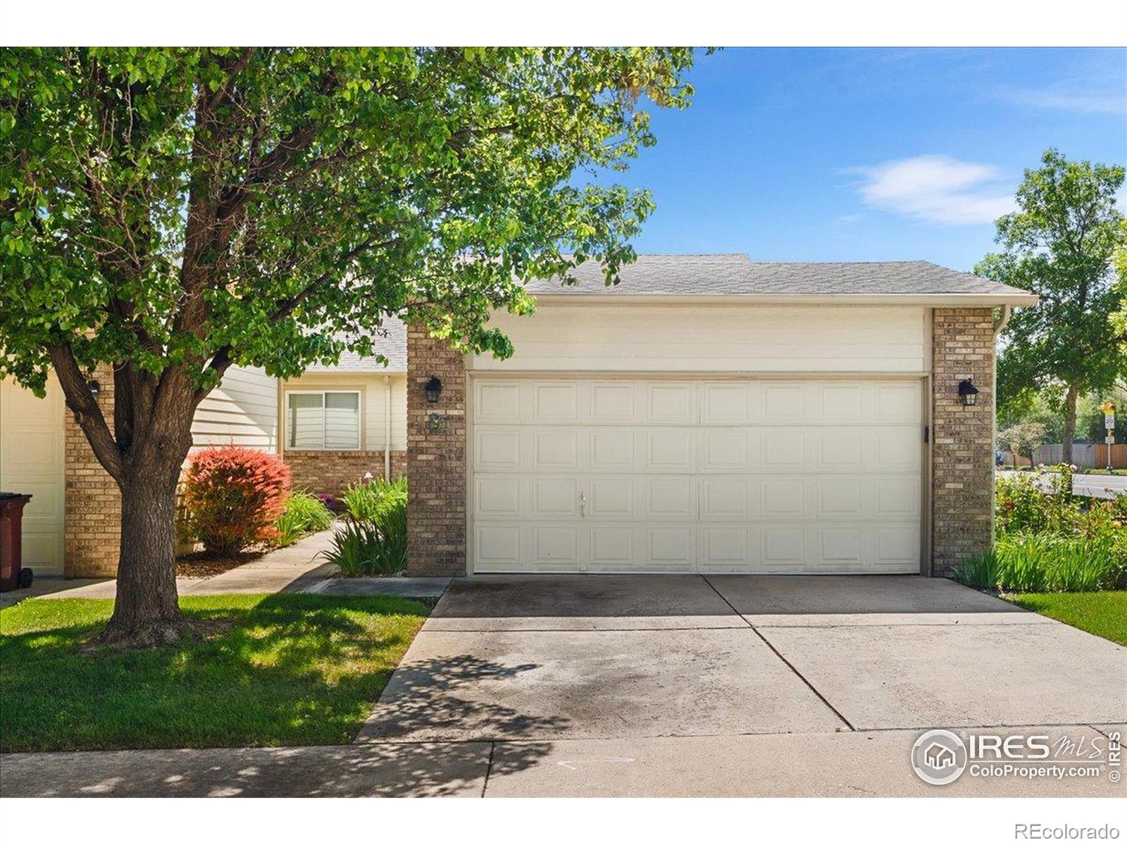 3525  Auntie Stone Street, fort collins  House Search MLS Picture