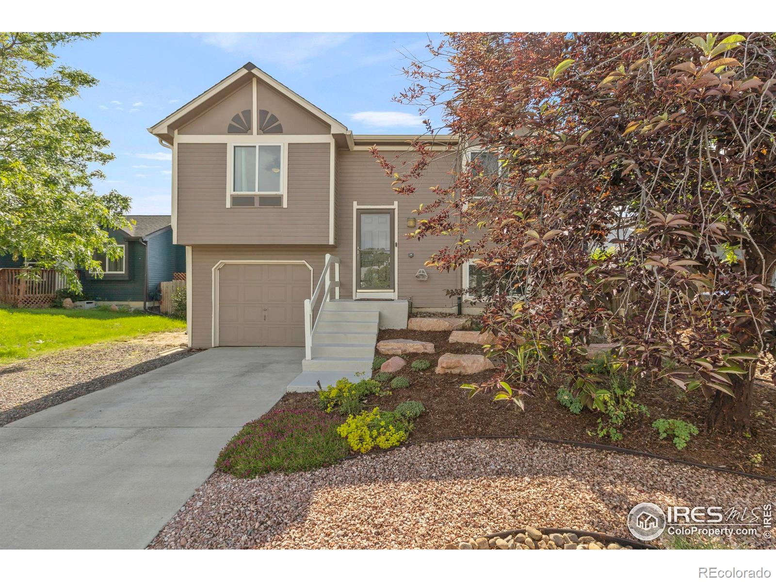 2037  Spencer Street, longmont  House Search MLS Picture