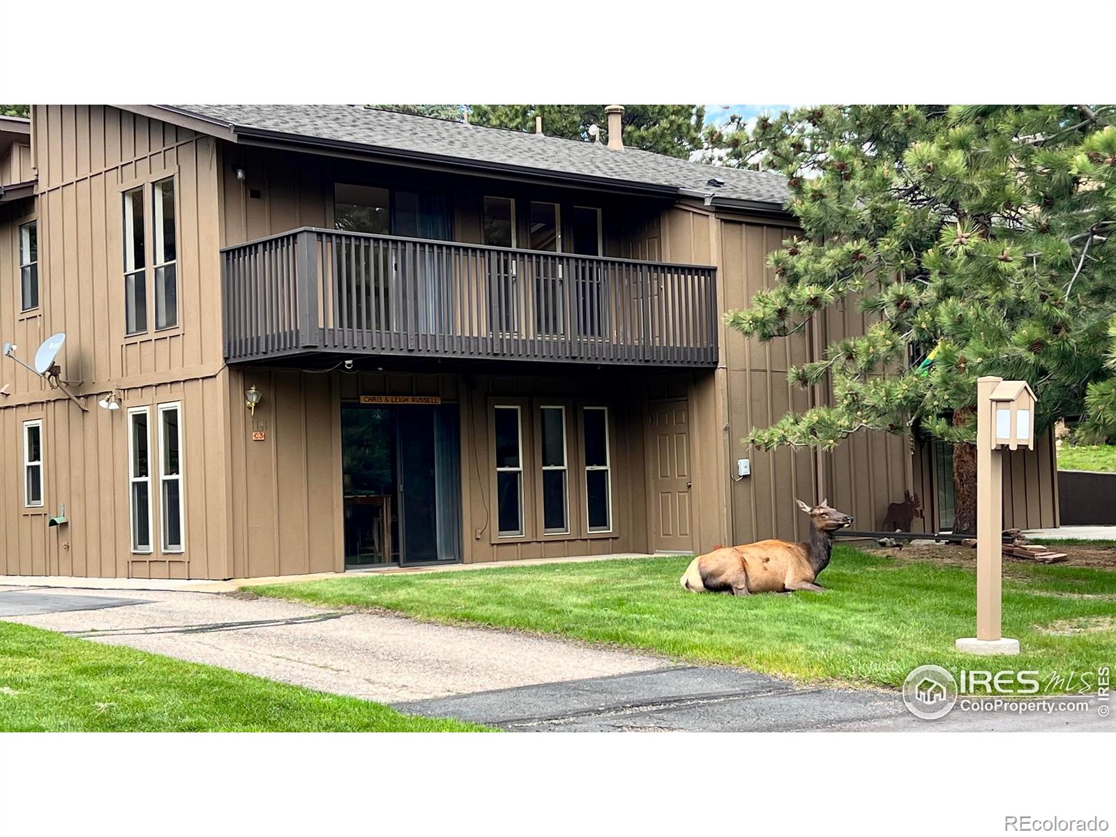 estes park  House Search Picture