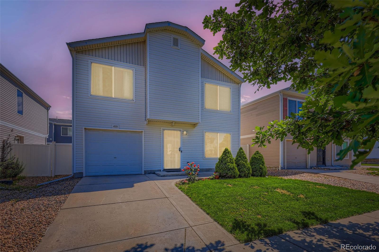 4520  Andes Street, denver  House Search MLS Picture