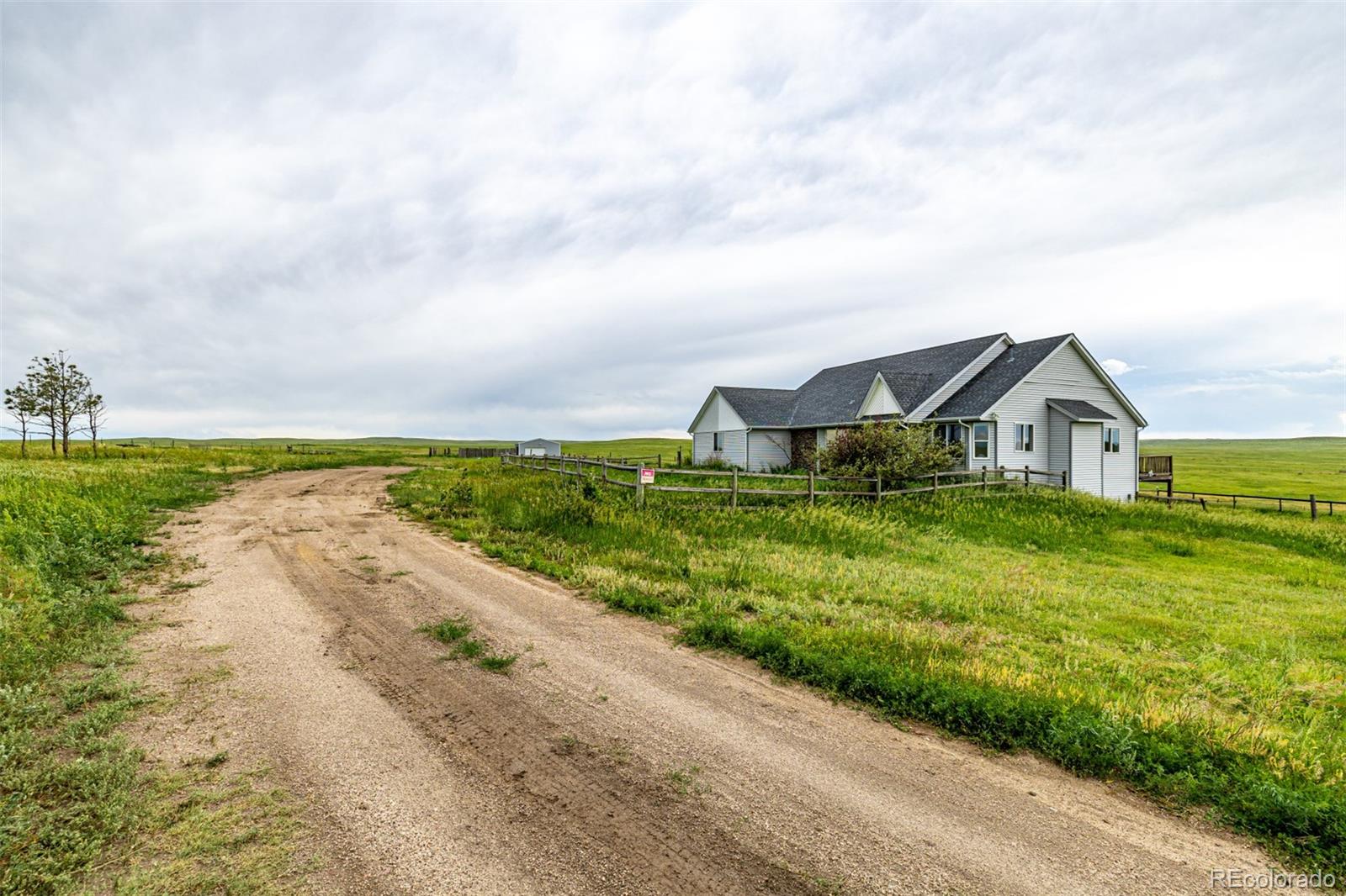 agate  Horse Properties Search Picture