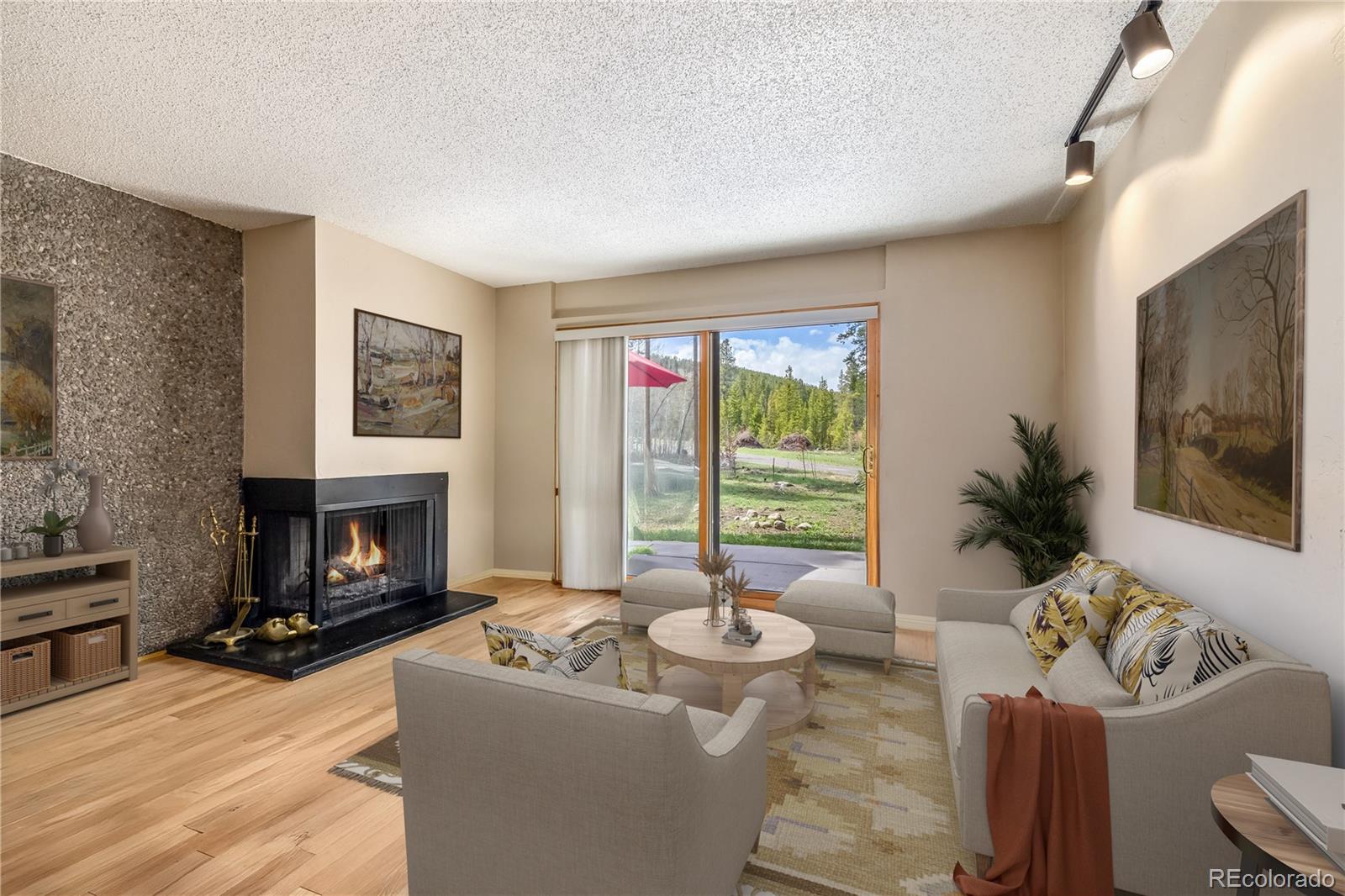 877  Airport Road, breckenridge  House Search MLS Picture