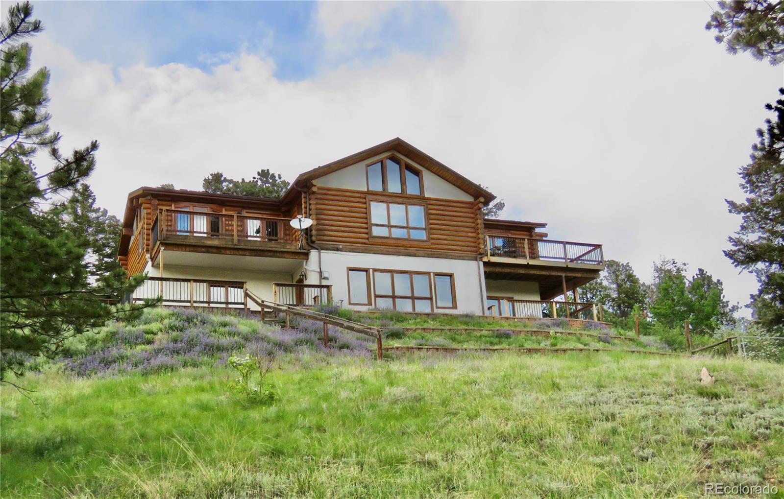 conifer  House Search Picture