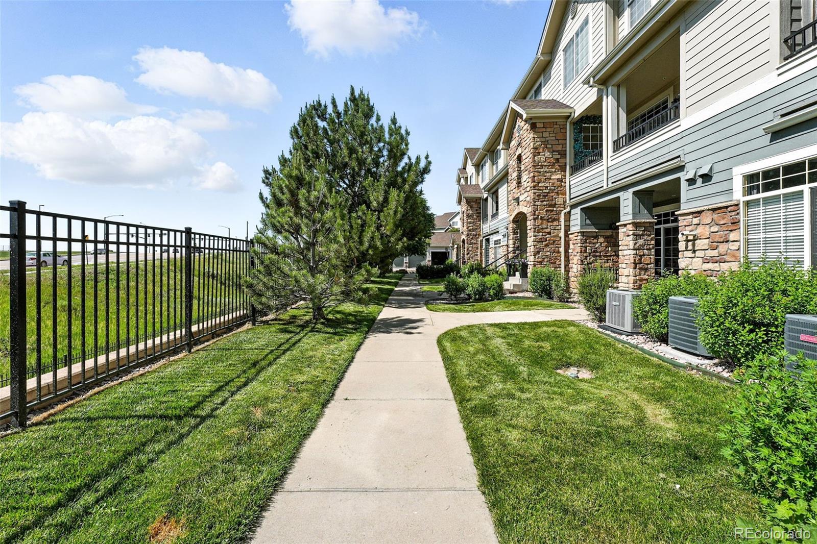 474  Black Feather Loop, castle rock  House Search MLS Picture