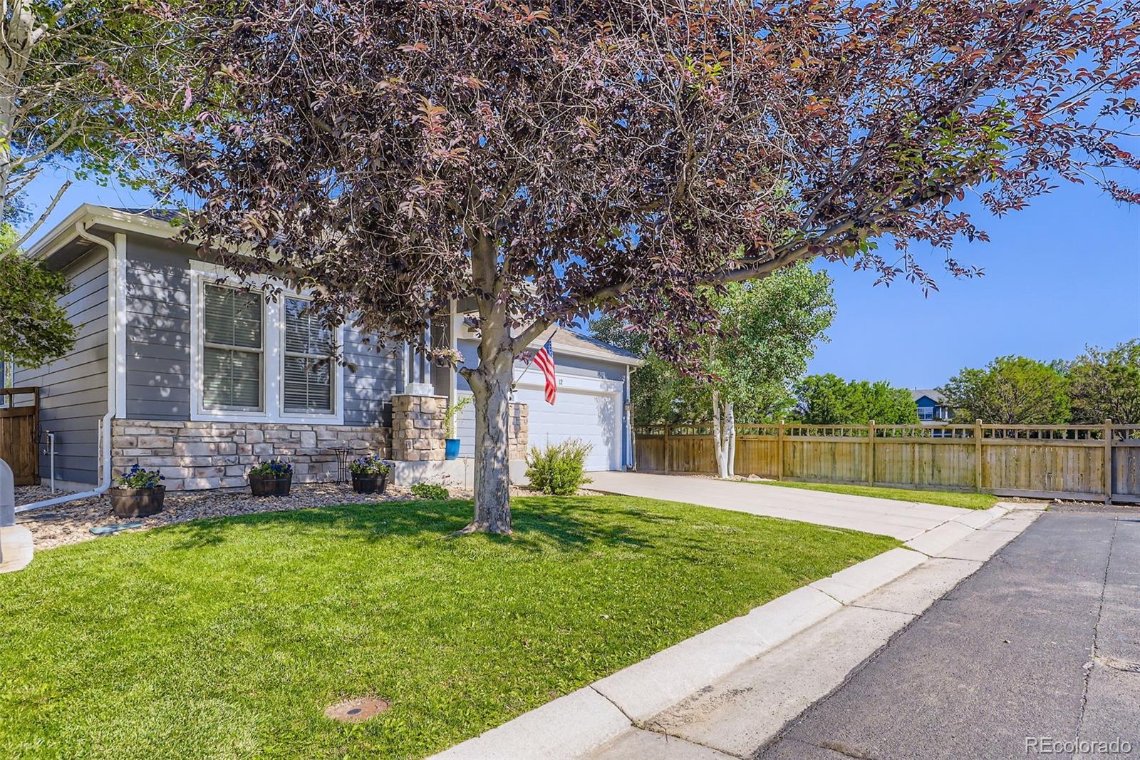 12  Apache Plume Street, brighton  House Search MLS Picture