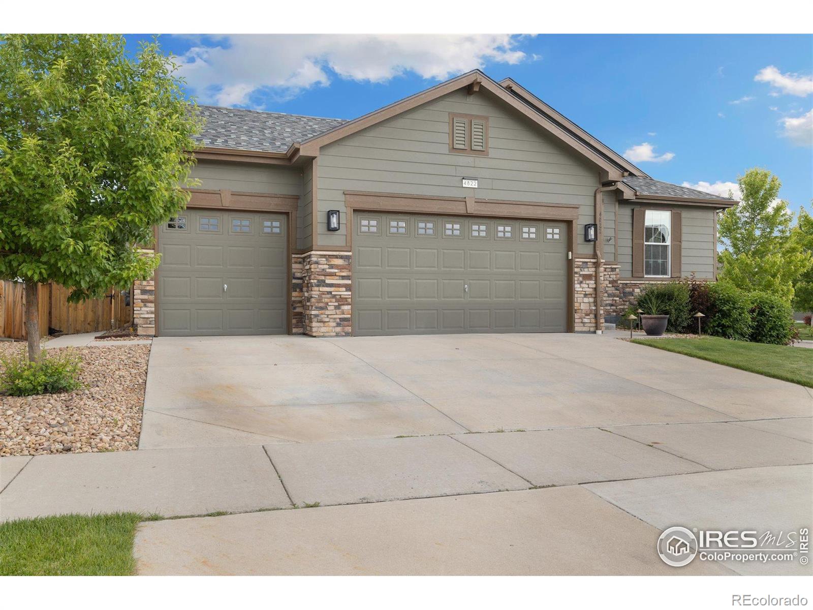 4822  Wildflower Place, dacono  House Search MLS Picture