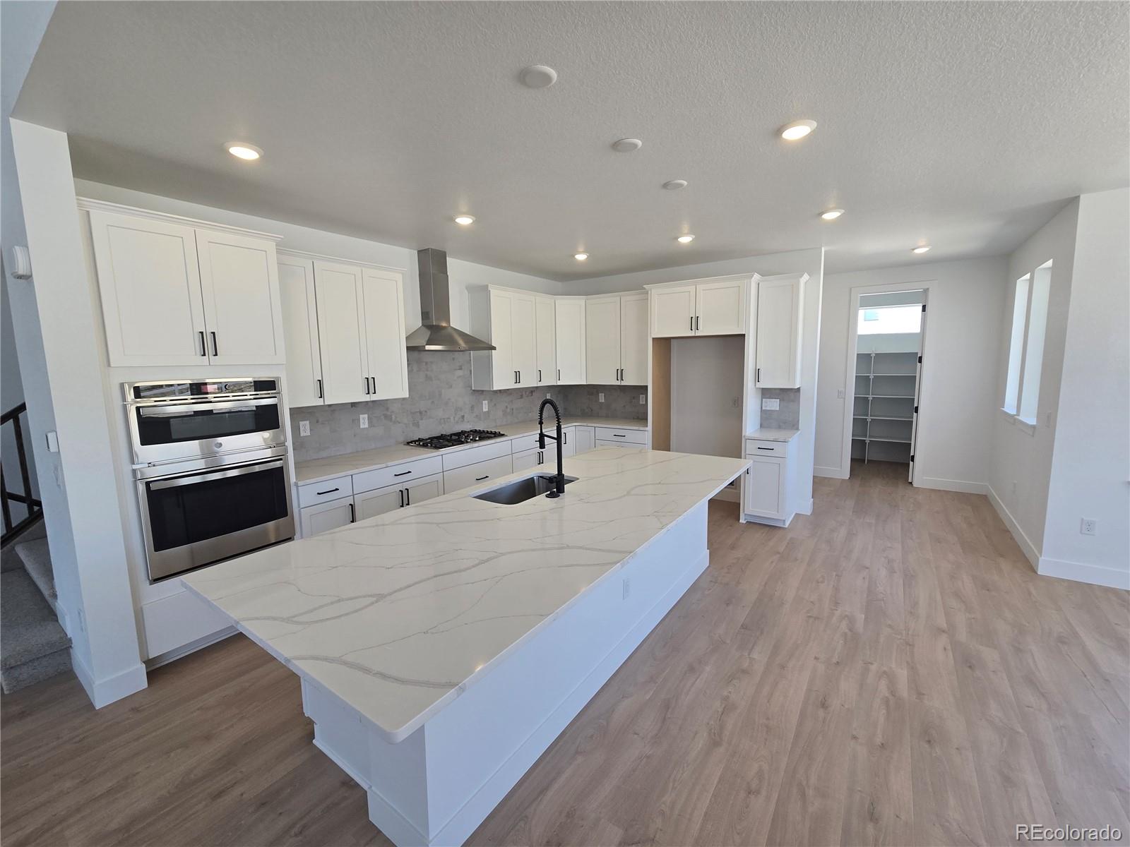 1733  Fox Trotter Point, castle rock  House Search MLS Picture