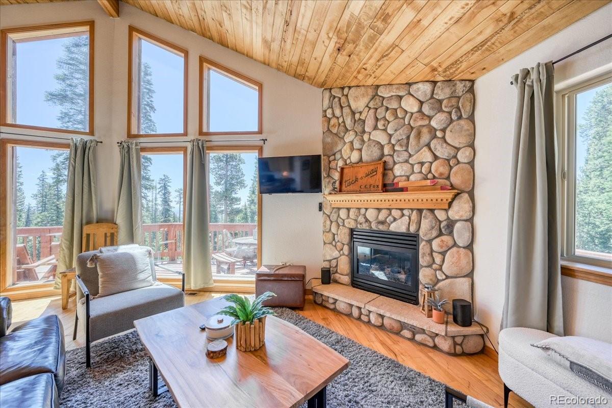 1387  Bobcat Lane, fairplay  House Search MLS Picture