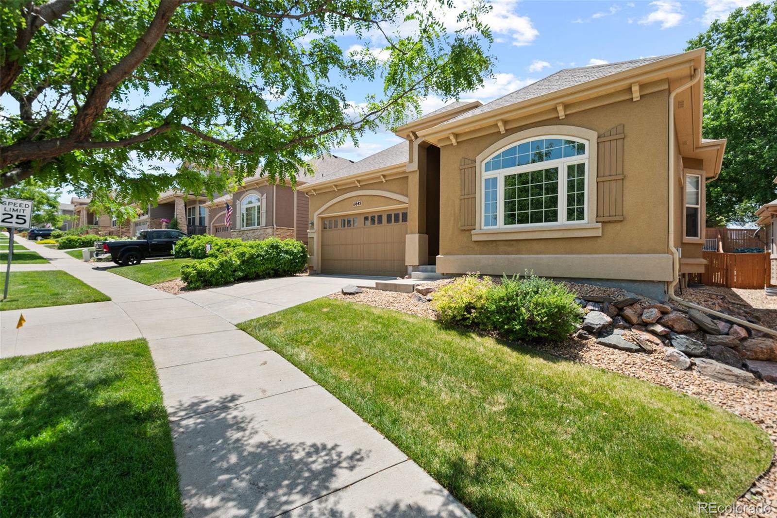 11645  Colony Loop, parker  House Search MLS Picture