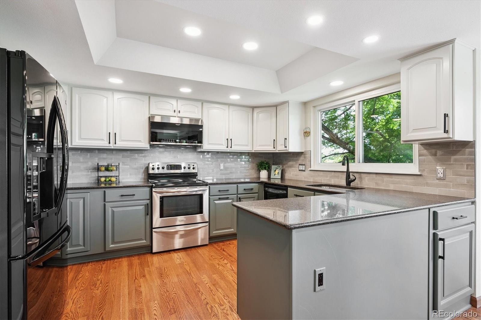 984  Shadow Mountain Drive, highlands ranch  House Search MLS Picture
