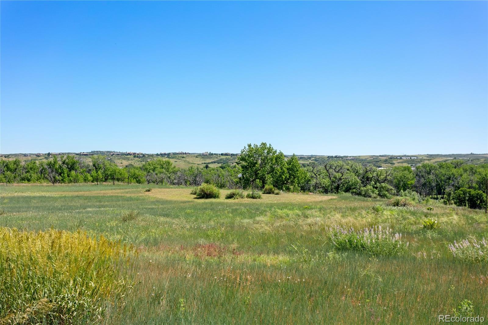 7801  Valley View Street, louviers  House Search MLS Picture