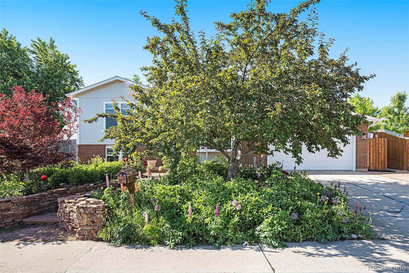 6248 W 75th , arvada  House Search MLS Picture