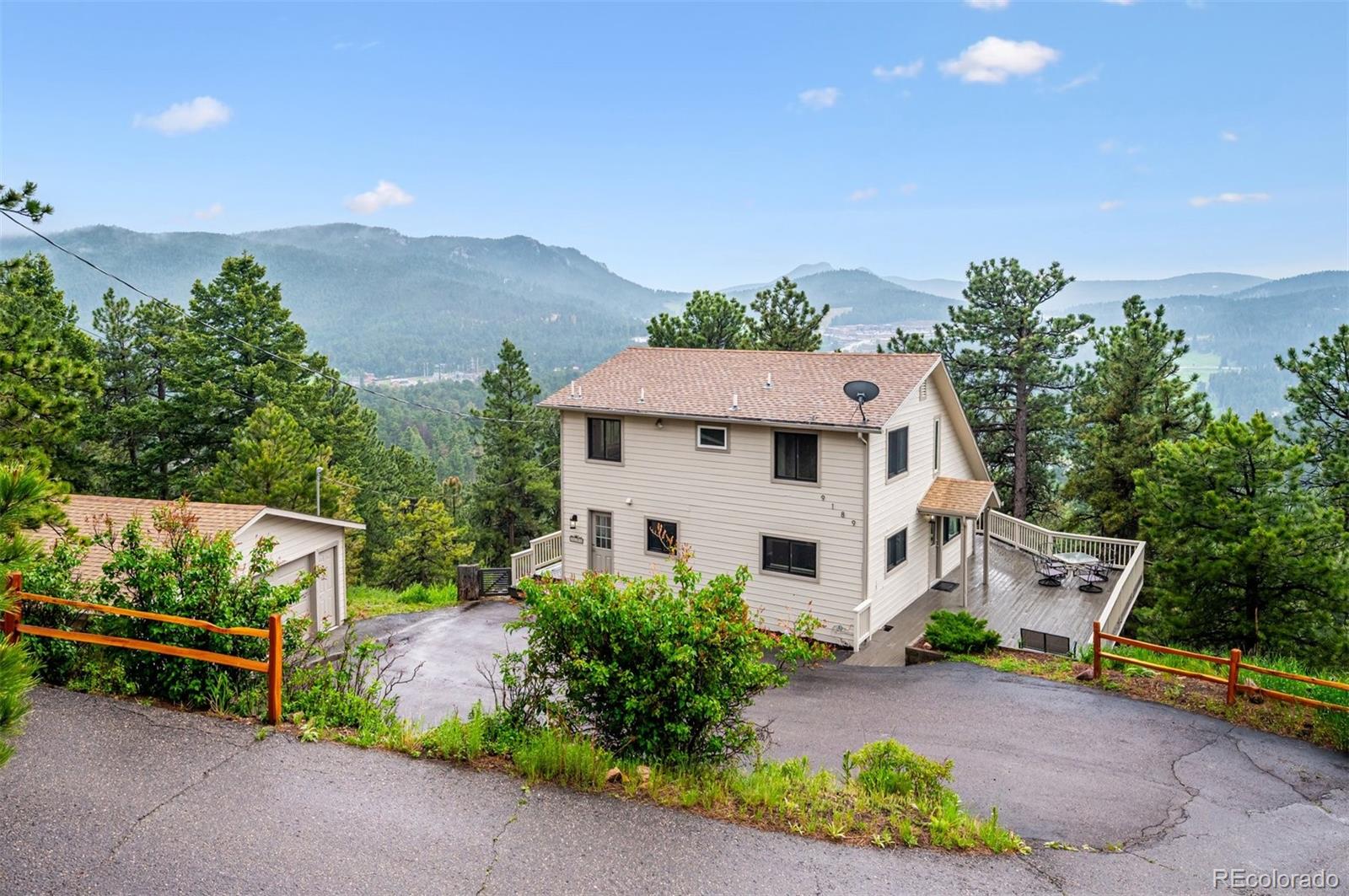 conifer  House Search Picture