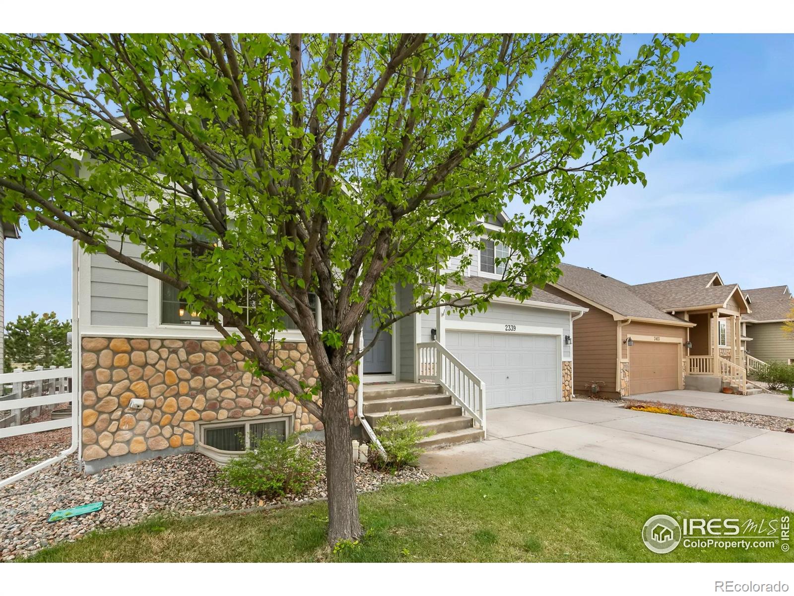 2339  Thoreau Drive, fort collins  House Search MLS Picture