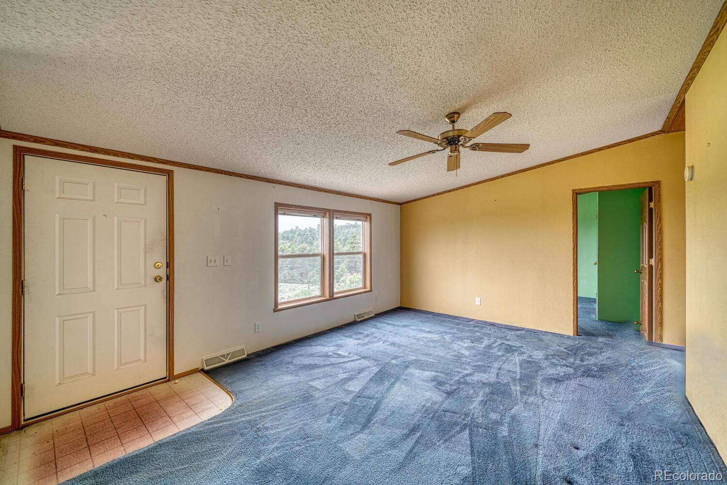 3063  Autumn Creek Drive, canon city  House Search MLS Picture