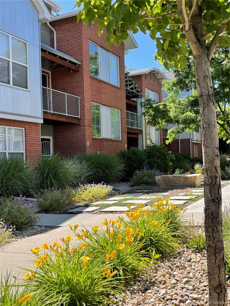 denver  House Search Picture