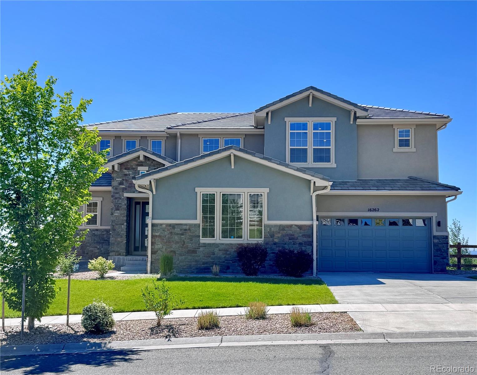 16262 W 95th Lane, arvada  House Search MLS Picture