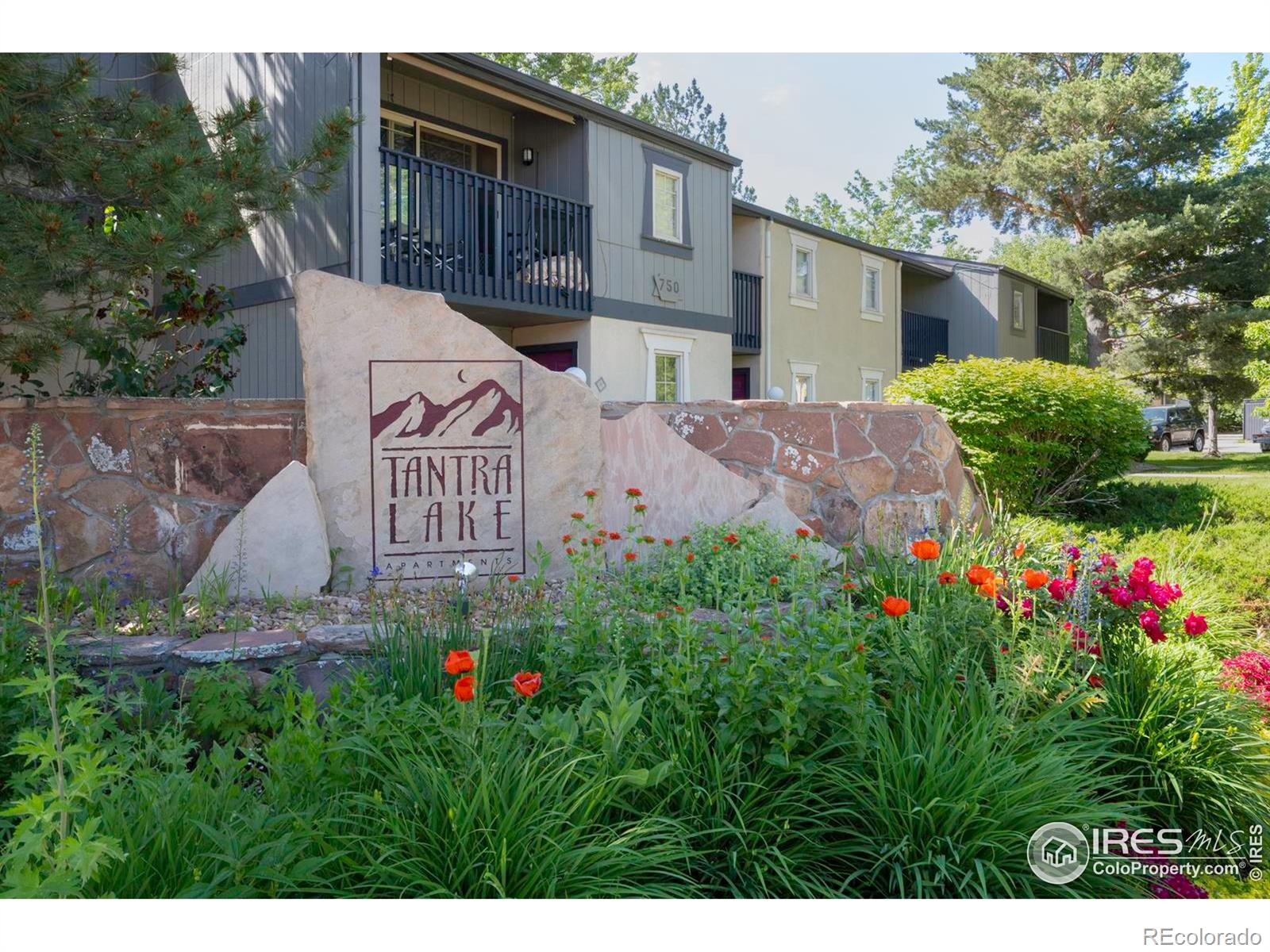 boulder  House Search Picture