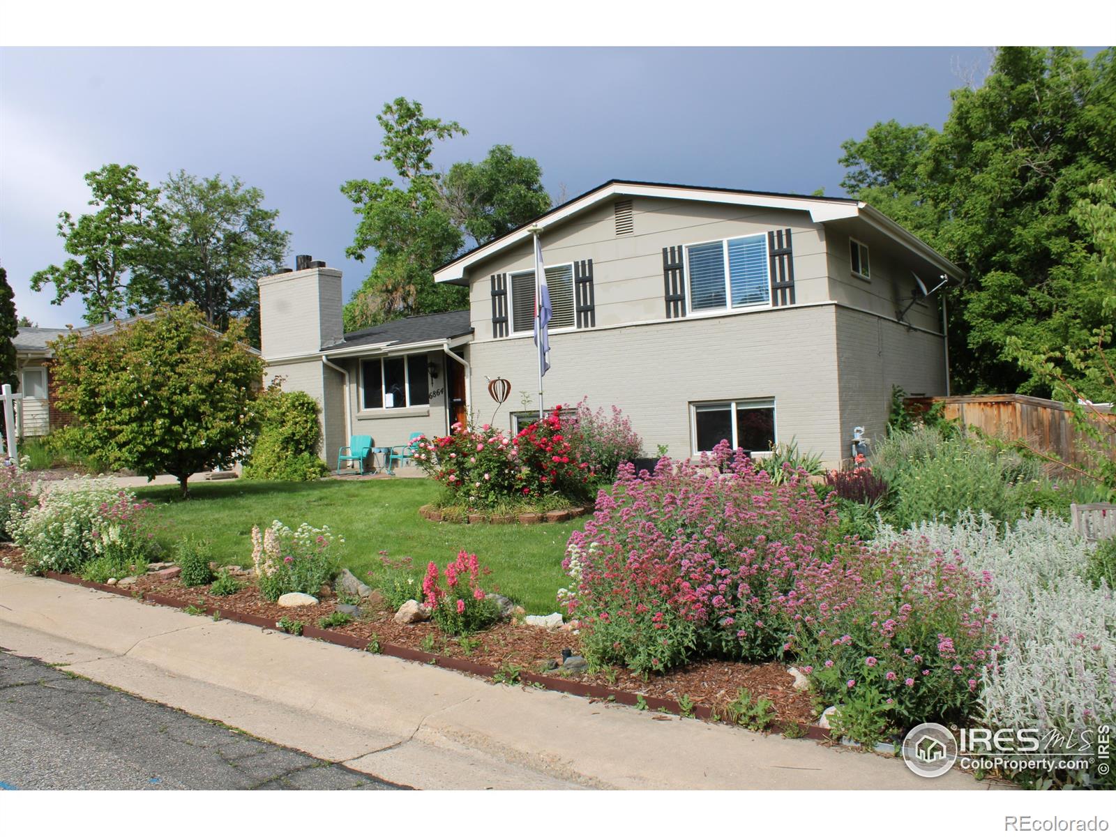 6864  Balsam Street, arvada  House Search MLS Picture