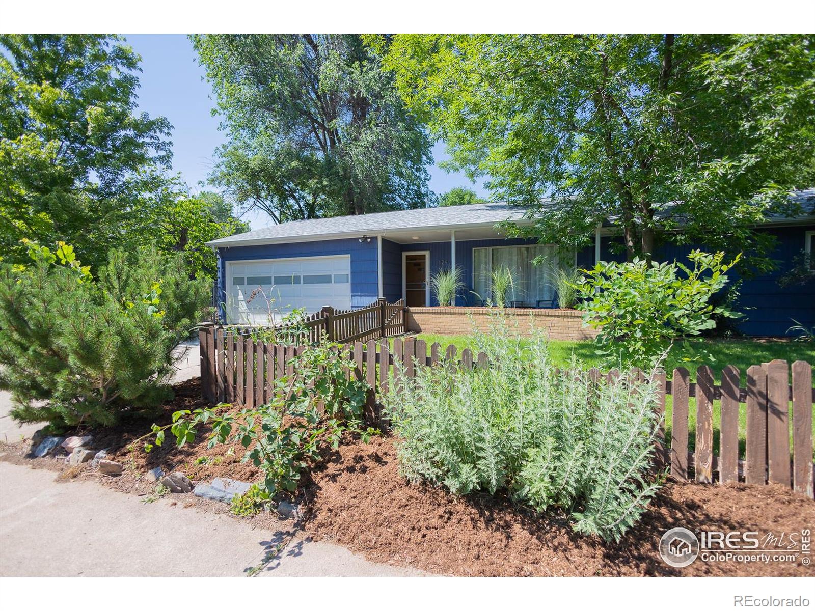 fort collins  House Search Picture