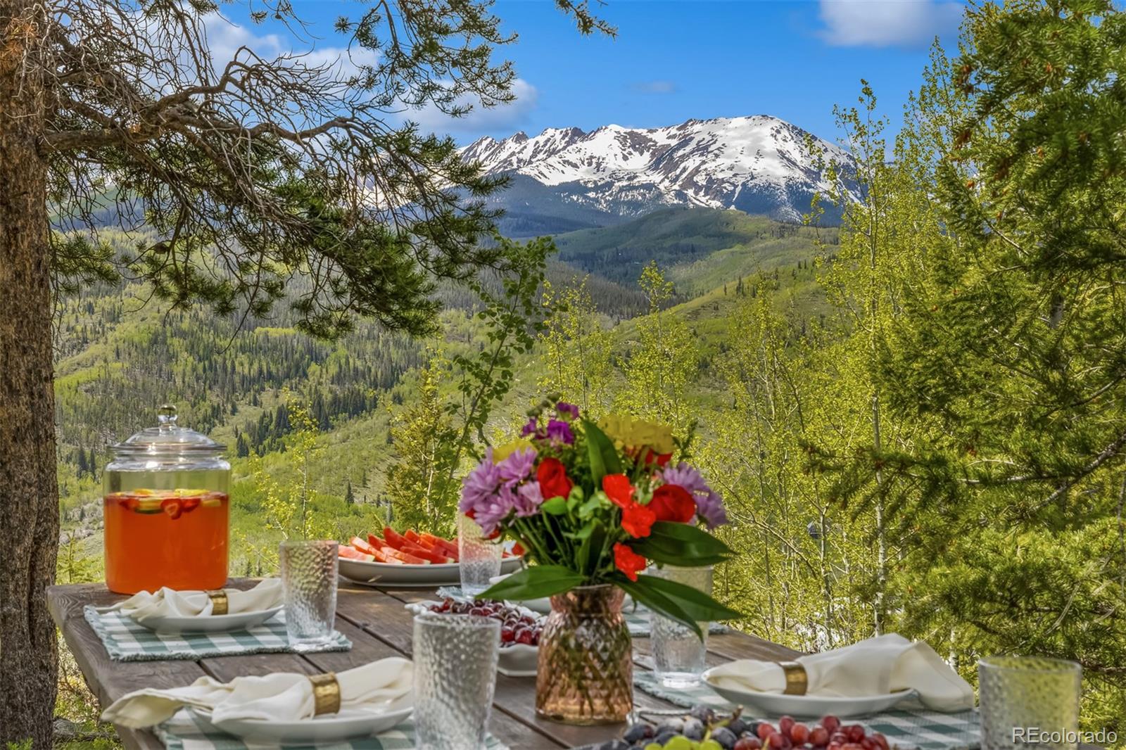 2244  Johnson Road, silverthorne  House Search MLS Picture