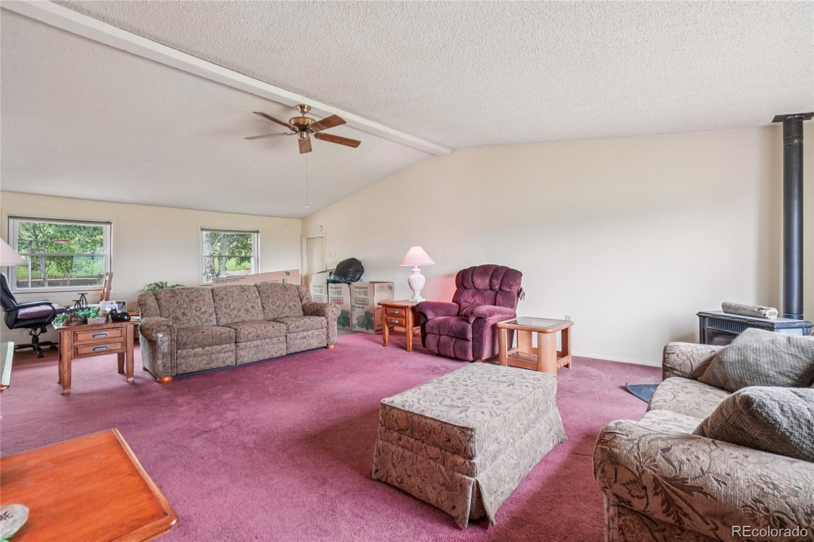 759  Palisade Mountain Drive, drake  House Search MLS Picture