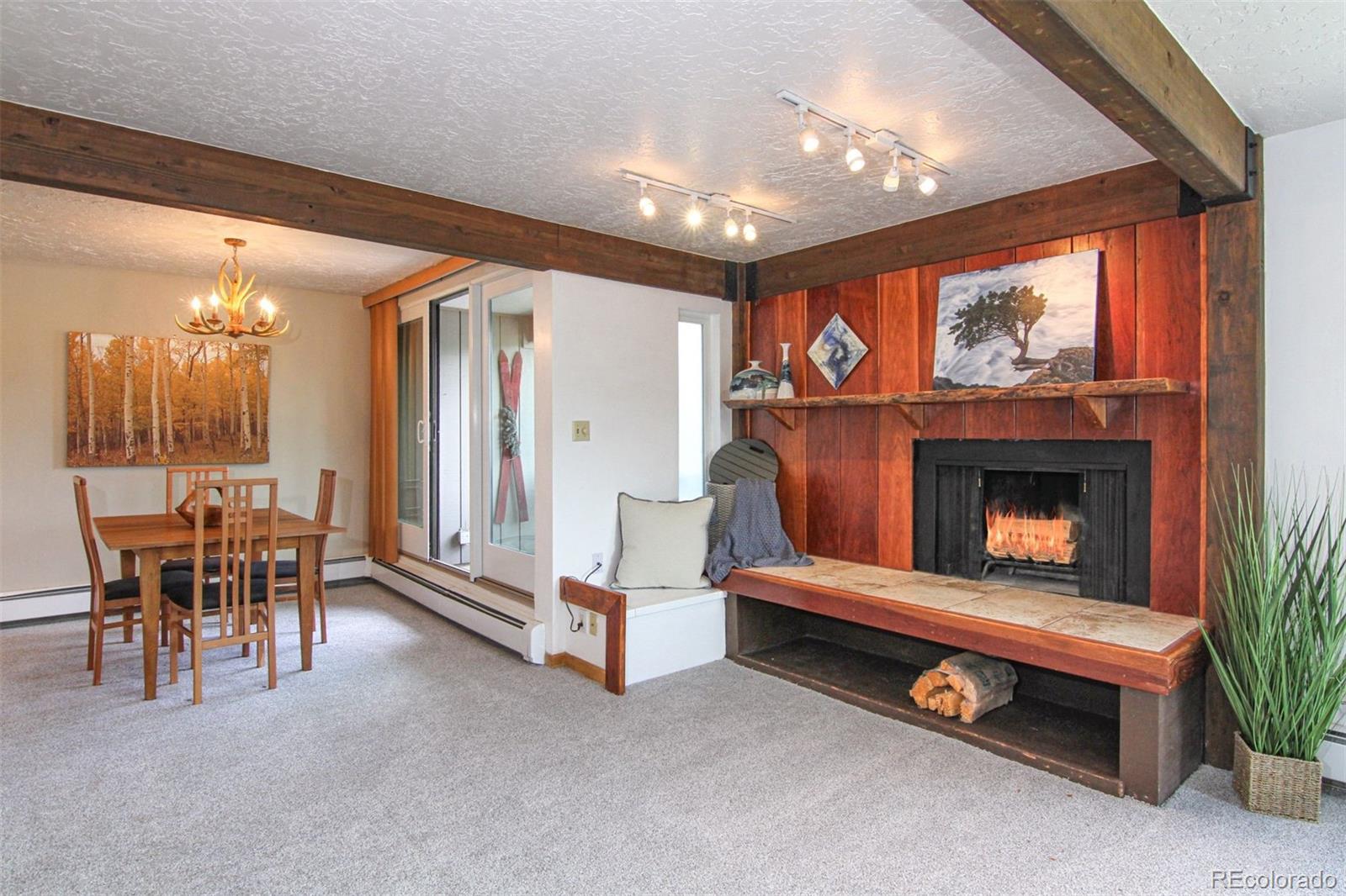 silverthorne  House Search Picture