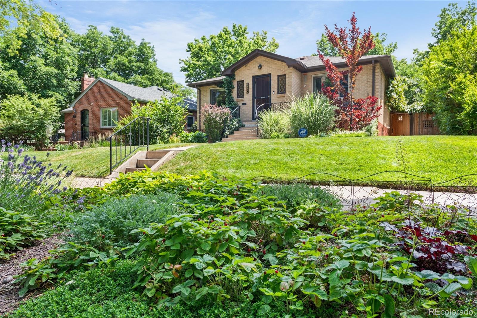 denver  House Search Picture