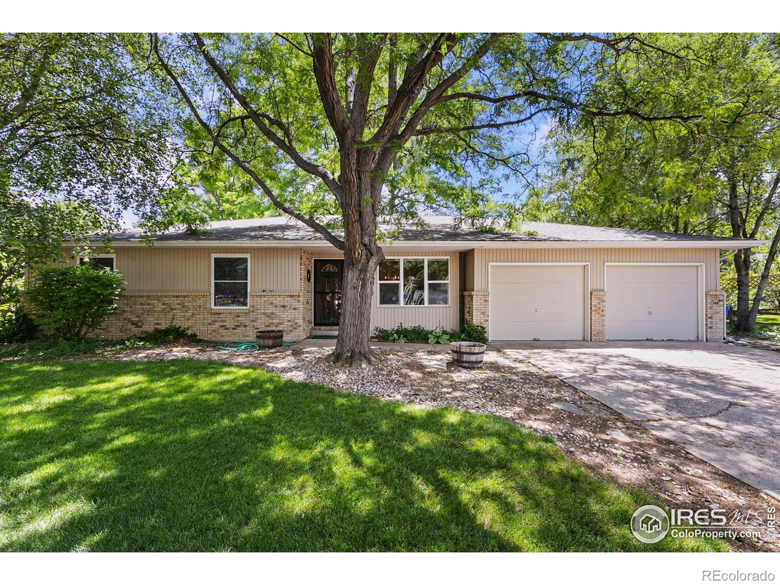 fort collins  House Search Picture