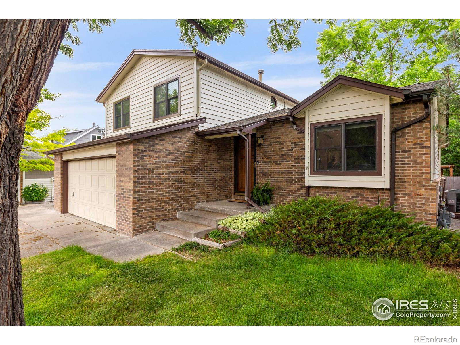 2503  Bismarck Avenue, loveland  House Search MLS Picture