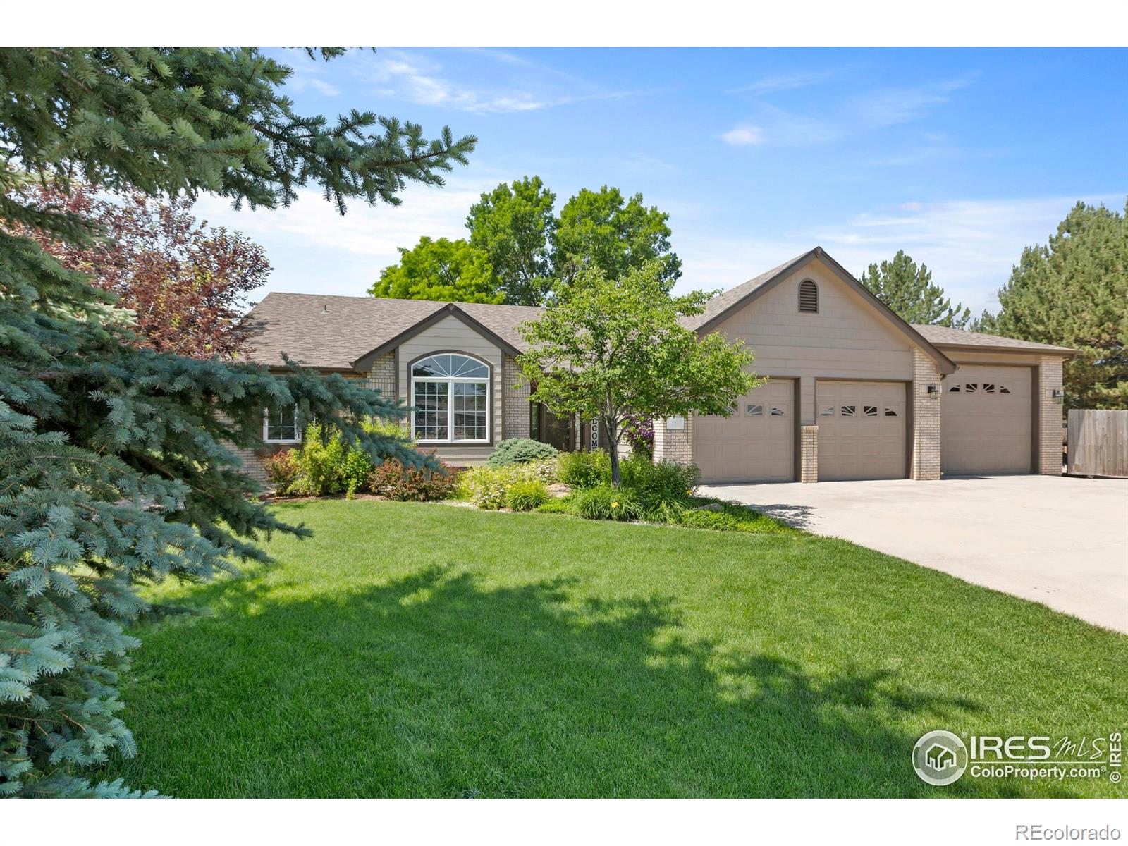 loveland  House Search Picture