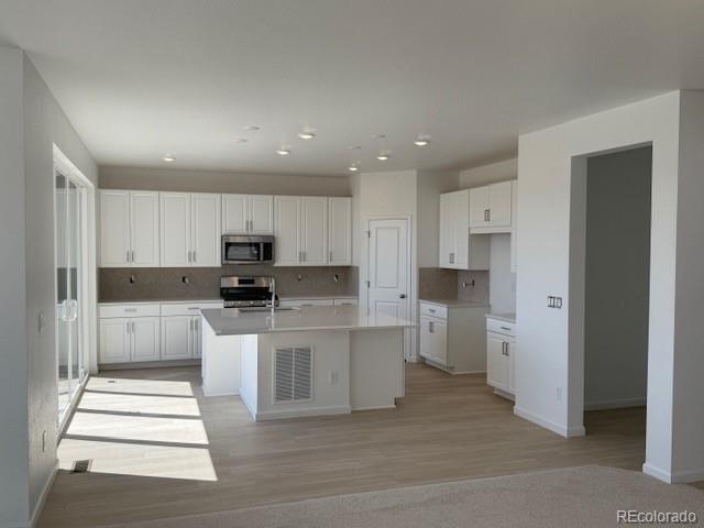 13350  Blue Amber Court, parker  House Search MLS Picture
