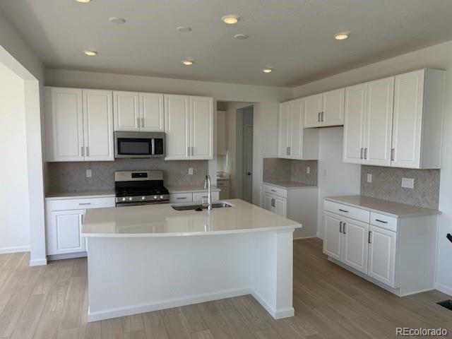 13342  Blue Amber Court, parker  House Search MLS Picture