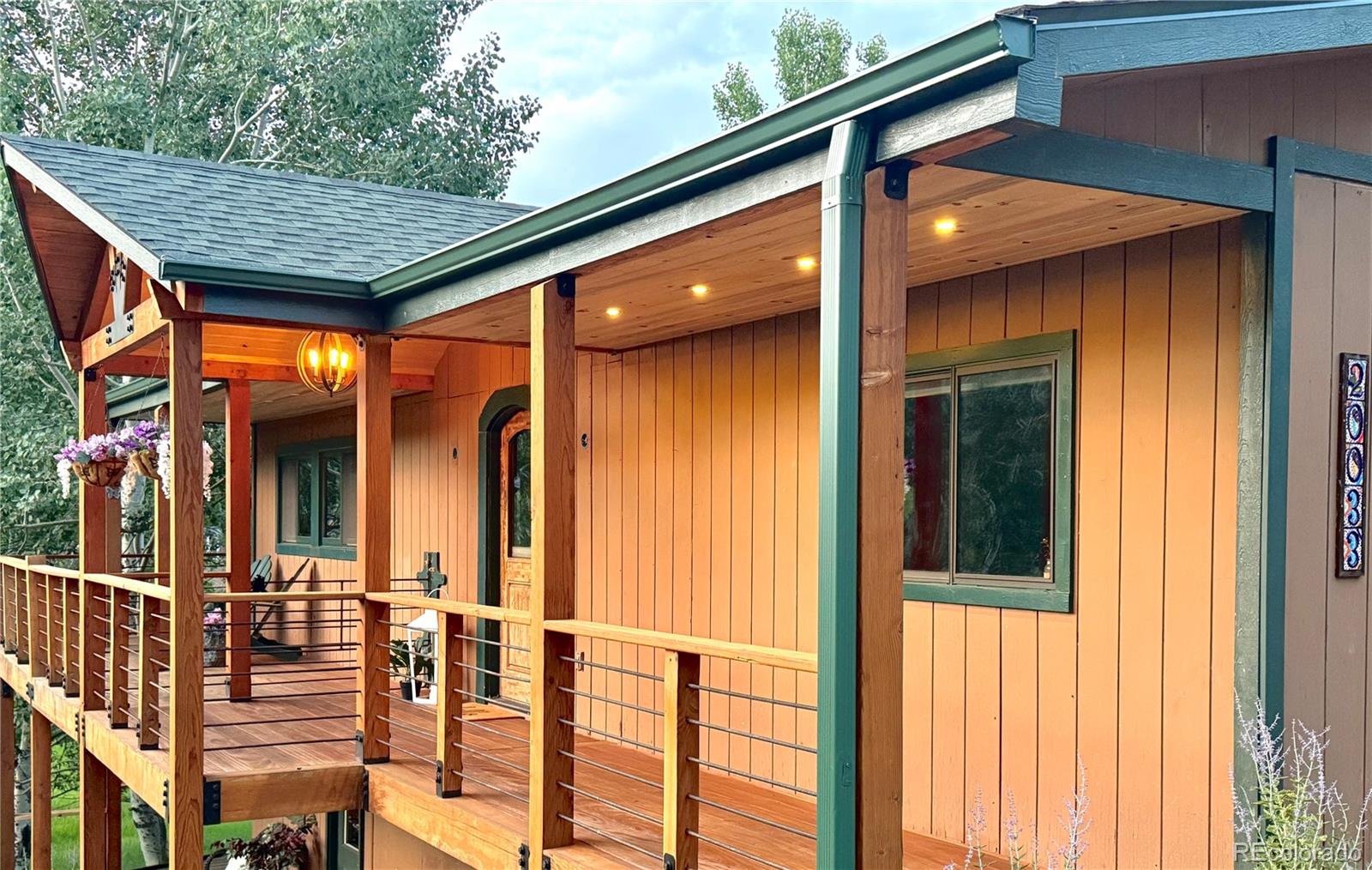 conifer  House Search Picture