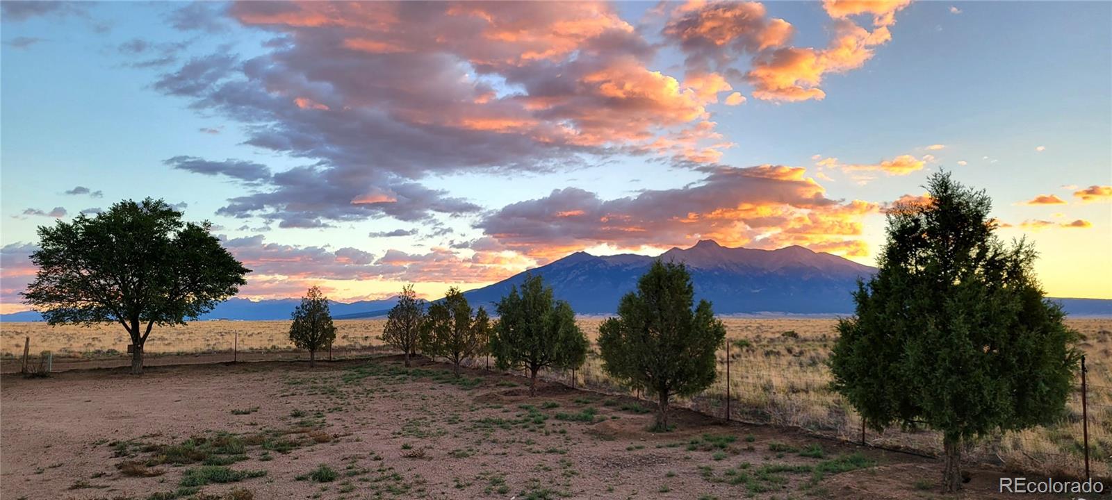 blanca  House Search Picture