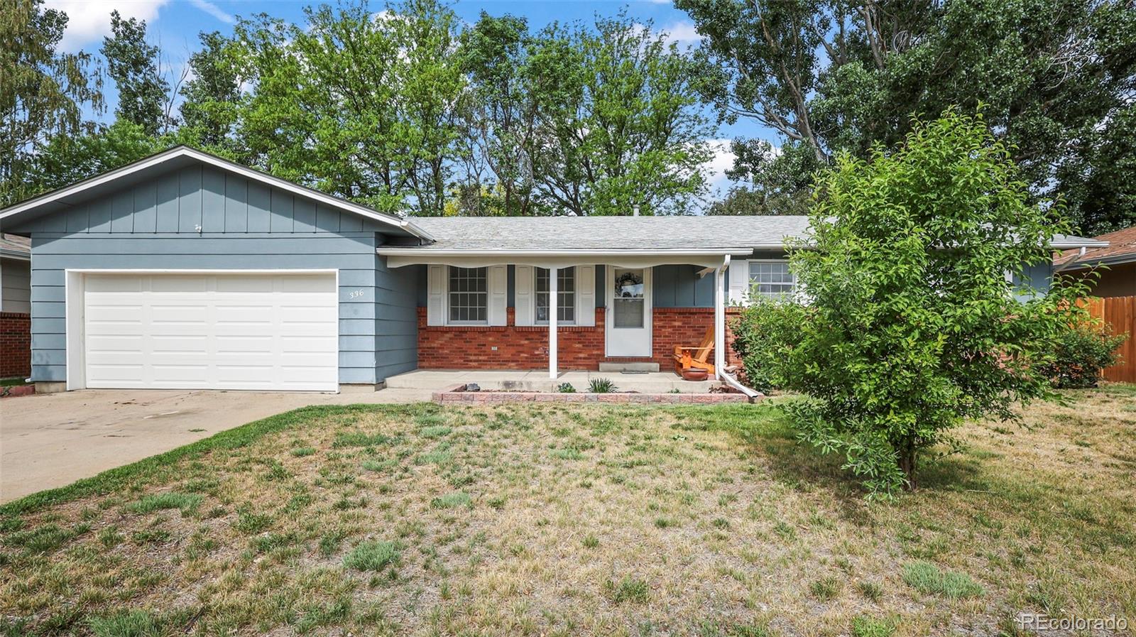 brush  House Search Picture