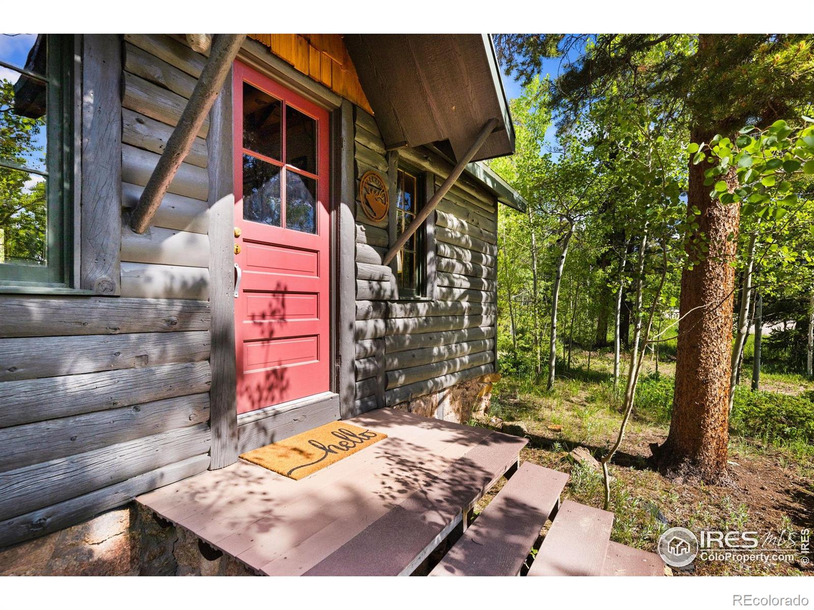 11614  Peak To Peak Highway, allenspark  House Search MLS Picture