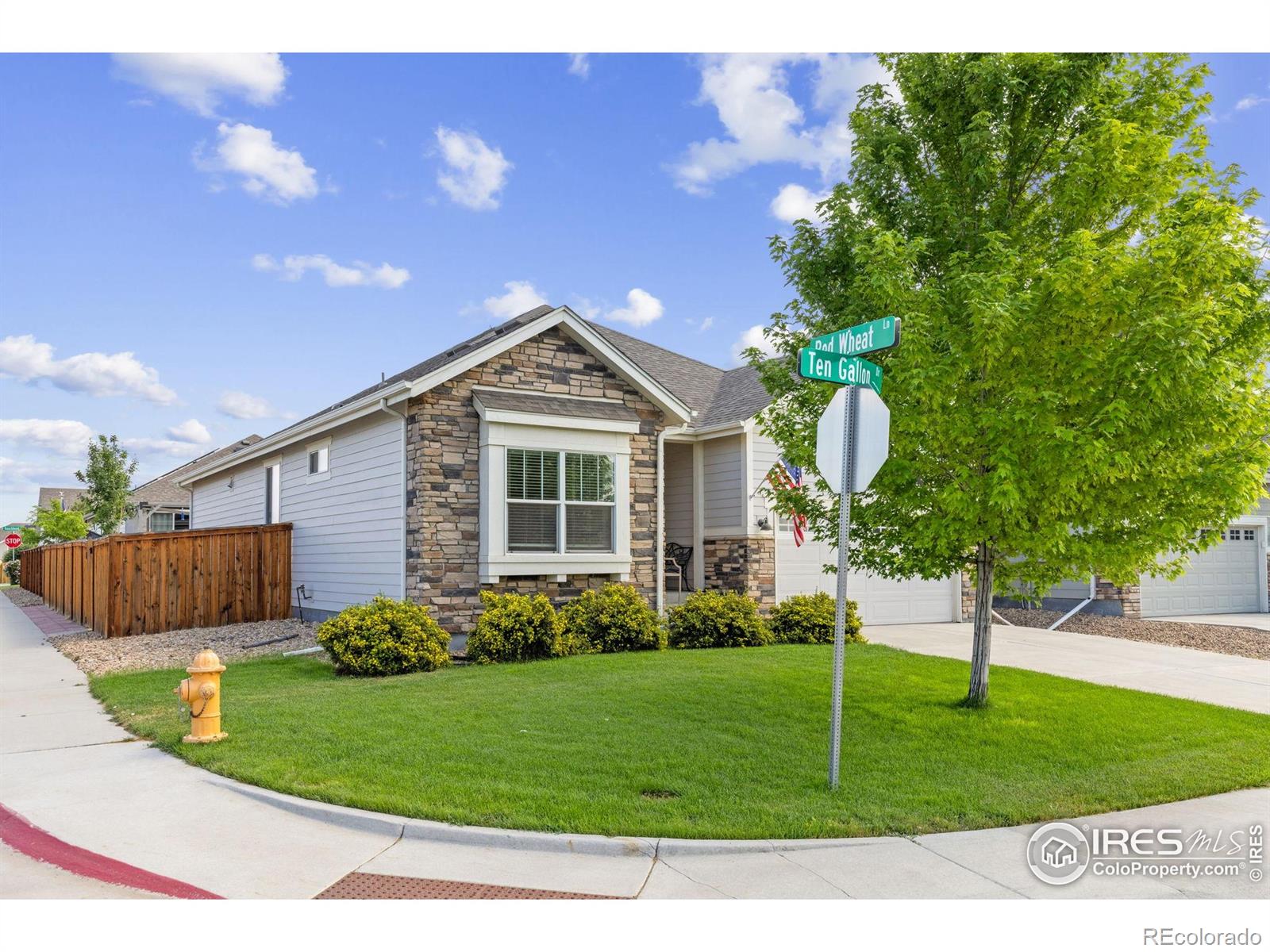 688  Ten Gallon Drive, berthoud  House Search MLS Picture