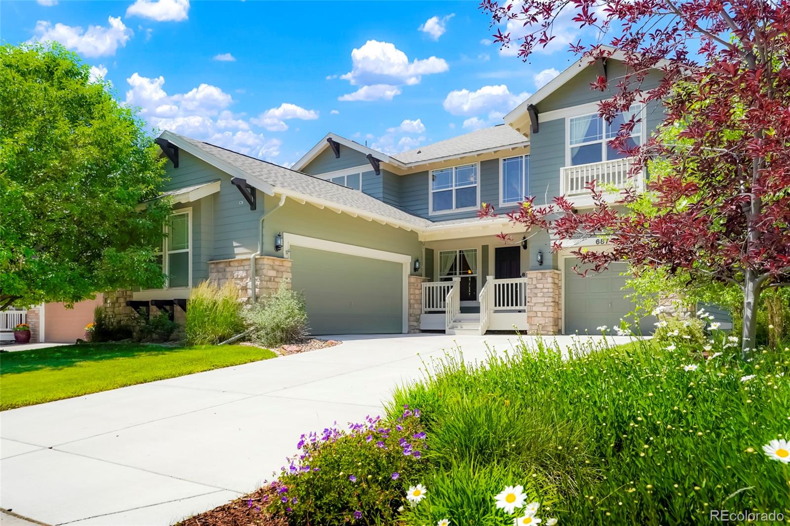 castle pines  House Search Picture