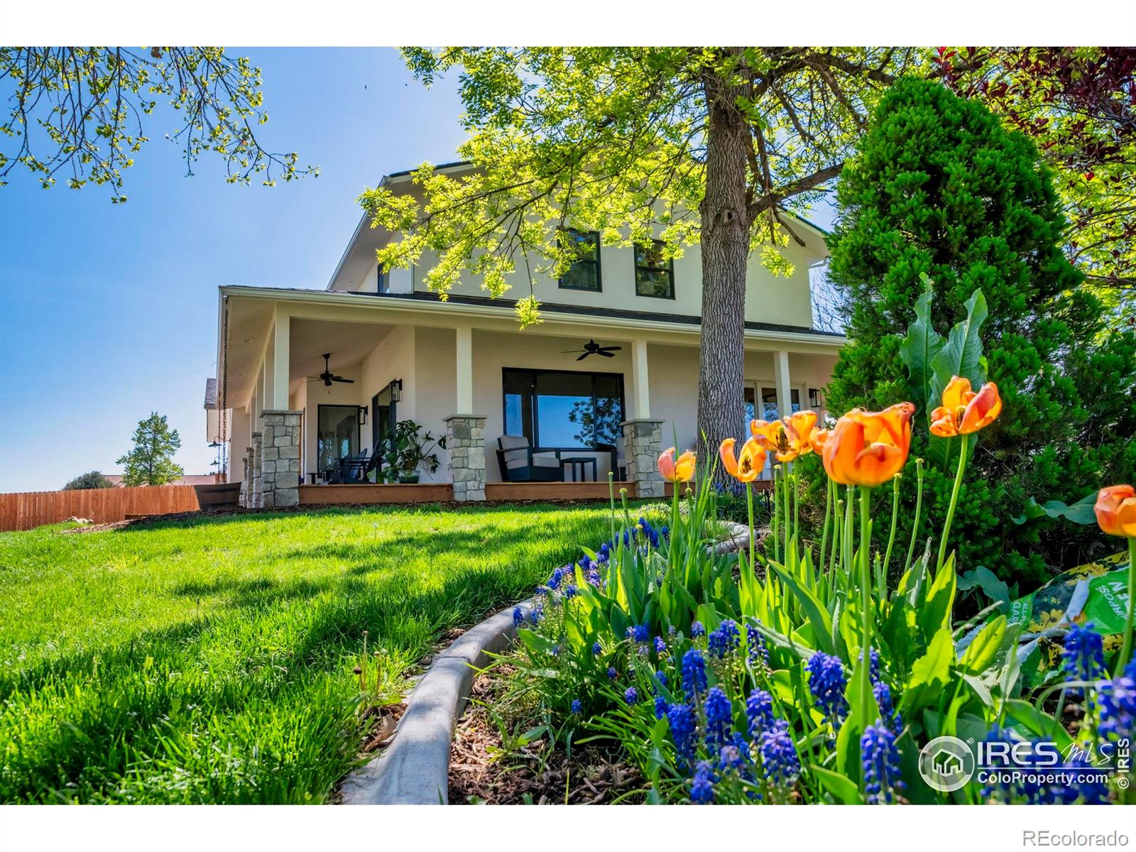 longmont  House Search Picture